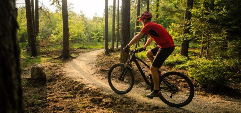 Caminhar E Pedalar - Exercícios Que Trazem Benefícios Para Saúde